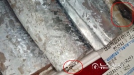 [무안] 농협 하나로마트, 갈치에서 나온 기생충에 소비자 경악