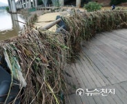 물 빠진 탄천 공영주차장엔…