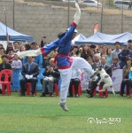 [춘천] 애견체험박물관 내달 착공··· 2019년 3월 개장