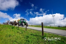 [쉼표] 하늘과 초원이 마주하는 대관령 하늘목장
