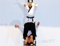 국회의원 태권도연맹 발대식 화려한 시범단 공연