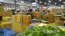 광주원예농협채소경매장, 채소 공판가격 다소 하락