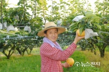 바래봉식품(영) | [중소기업 강국 코리아(101)] 나주봉황배 "배랑 달달하게 대화하니, 맛도 달달"