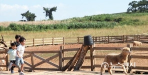 [#같이갈래] 힐링 마을, 고창 상하농원… 가족여행 딱좋아요