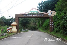 [쉼표] 양양송이밸리자연휴양림, 레저스포츠도 즐기고 숲속 힐링을 하고 싶다면 여기 어때