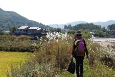 [인천] 가을에 걷고 싶은 강화나들길 16코스