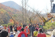 고창군 선운산도립공원 가을 등산객 '물결'
