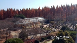 경남도수목원, 암석원(Rock garden) 개장