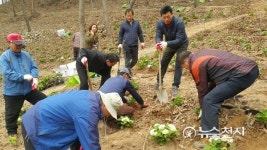 영광군 2018 숲속의 전남 만들기 공모사업 3개소 선정