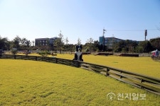 농협안성팜랜드에서 강아지와 자유롭게 뛰어놀자