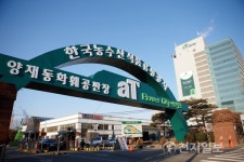 aT, 양재 꽃시장 편리하게 이용하세요!