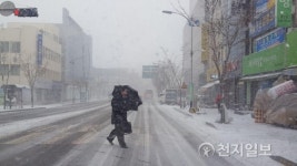 [목포] 눈보라 헤치고 길 건너는 시민