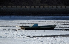 최강 한파로 얼음 바다 된 강진군 봉황마을