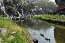 가족·연인 손 잡고 거닐기 좋은 서울 속 숲·계곡·하천 어딜까