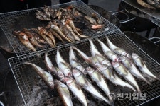 싱싱한 해산물에 추억까지 한아름… 묵호항으로 오세요