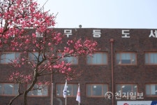 [광주] 홍매화 활짝 핀 북구 시립무등도서관