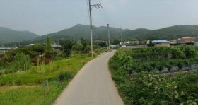 안산시, 개발제한 해제지역 예산 43억 투입 도로개설사업 추진