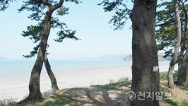 솔향과 바다 내음이 부른다 또 가고 싶은 섬 관매도
