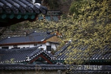 [국민공감&] 역사·문화 가득한 국제관광도시 전주