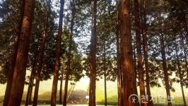 봄기운 완연한 달산수원지