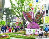 [부산] 사상 명품가로공원서 봄꽃전시 행사 열려
