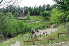 태백시, 황부자 며느리 친정 가는 둘레길… 우리나라 여행축제 10선 선정