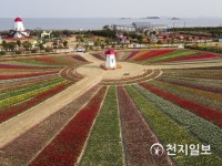 바다와 모래의 섬 임자도… 신안튤립축제 연다