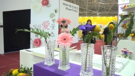 [천지일보 영상뉴스] aT화훼사업센터, 일상에 꽃을 더하다 1Table 1Flower