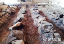 [人이 문화다] 구들 전문가 유종 장인 구들은 한옥의 생명