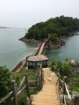 [쉼표] 안산 대부해솔길 - 시원한 바닷길 따라 천천히 걸어볼까