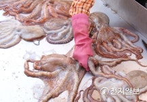 [쉼표] 올여름 피서는 200년 전통 자랑하는 동해 북평 민속시장으로