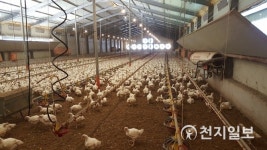 함평, 정찬수 전남농업기술원 기술보급과장 축산현장 방문