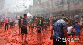 [횡성] 제7회 둔내고랭지토마토축제 개막