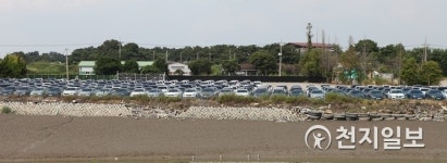 평택항에 모인 BMW 리콜 차량들