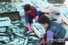 [지역명소] 부산, 연안수산물 유통1번지 자갈치… 오이소! 보이소! 사이소!