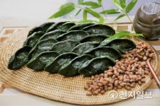 [지역명물] 담백하고 쫄깃한 영광모싯잎 송편… 추석 선물로 최고예요