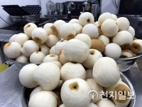 [지역명물] 작고 동그란 울산 배빵 반죽과 소에 울주배가 듬뿍 들었어요