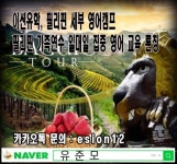 이션유학 필리핀 세부 영어캠프 + 필리핀 가족연수 일대일 집중 영어교육 론칭