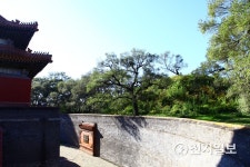 청나라 태조 누르하치의 무덤 복릉(福陵)