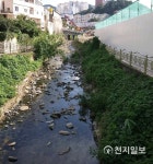 부산시 100억 투입한 구포 대리천 복원사업… 누구를 위한 사업인가?