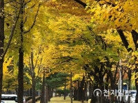 만추