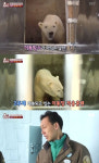 동물농장 북극곰 통키 마지막 이야기… 담당 사육사 더 잘해주지 못해 미안해