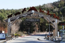 새해 첫 여행은 전남에서… 휴식·보양 한꺼번에 해결해요