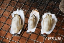새해 첫 여행은 전남에서… 휴식·보양 한꺼번에 해결해요