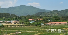 [르포] 황금돼지의 해 양돈 농가를 찾아서… 돼지요? 우리는 사람처럼 키웁니다