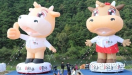 횡성한우축제 2년 연속 문화관광축제로 선정