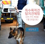 서울호서예전 애완동물학과 특수목적견 진학체험 특강