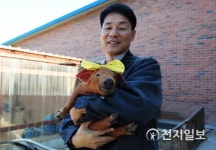 [장성] 웃는 돼지 보고 새해에도 웃으면 돼지