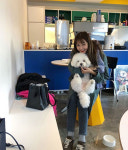 하연수, 반려견 안고 물오른 미모 포착… 꼬모 위주의 동선 행복하고 숨찬 산책