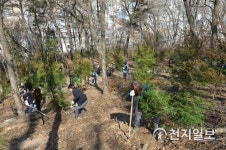 [순천] 나무와 숲 어우러진 환경 도시 만들기